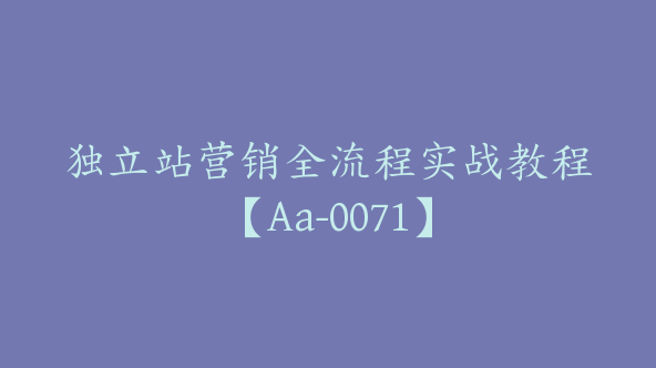 独立站营销全流程实战教程【Aa-0071】